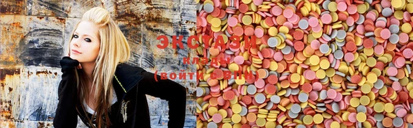 индика Ессентукская