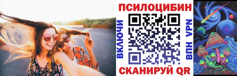 Купить закладки  Ленинск-Кузнецкий  Псилоцибиновые грибы GOLDEN TEACHER 